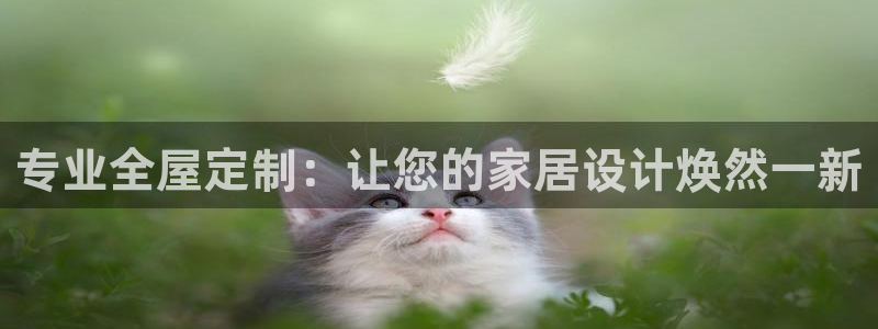 bb电子哪个平台好出款啊