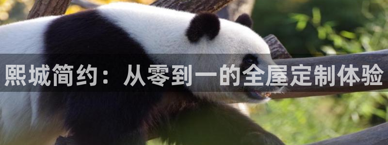 bb电子糖果哪个网站好mg官方电子平台